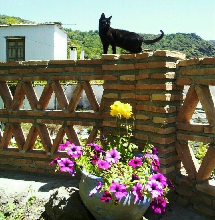 Sierra Y Mar Ferreirola