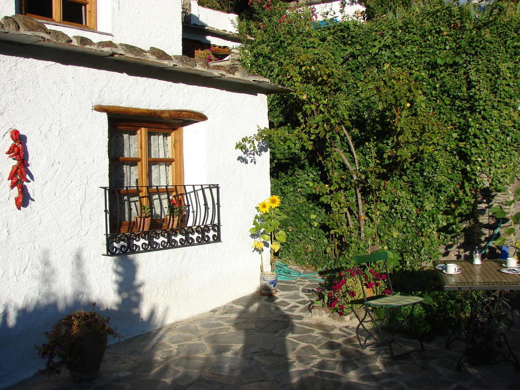 Sierra Y Mar