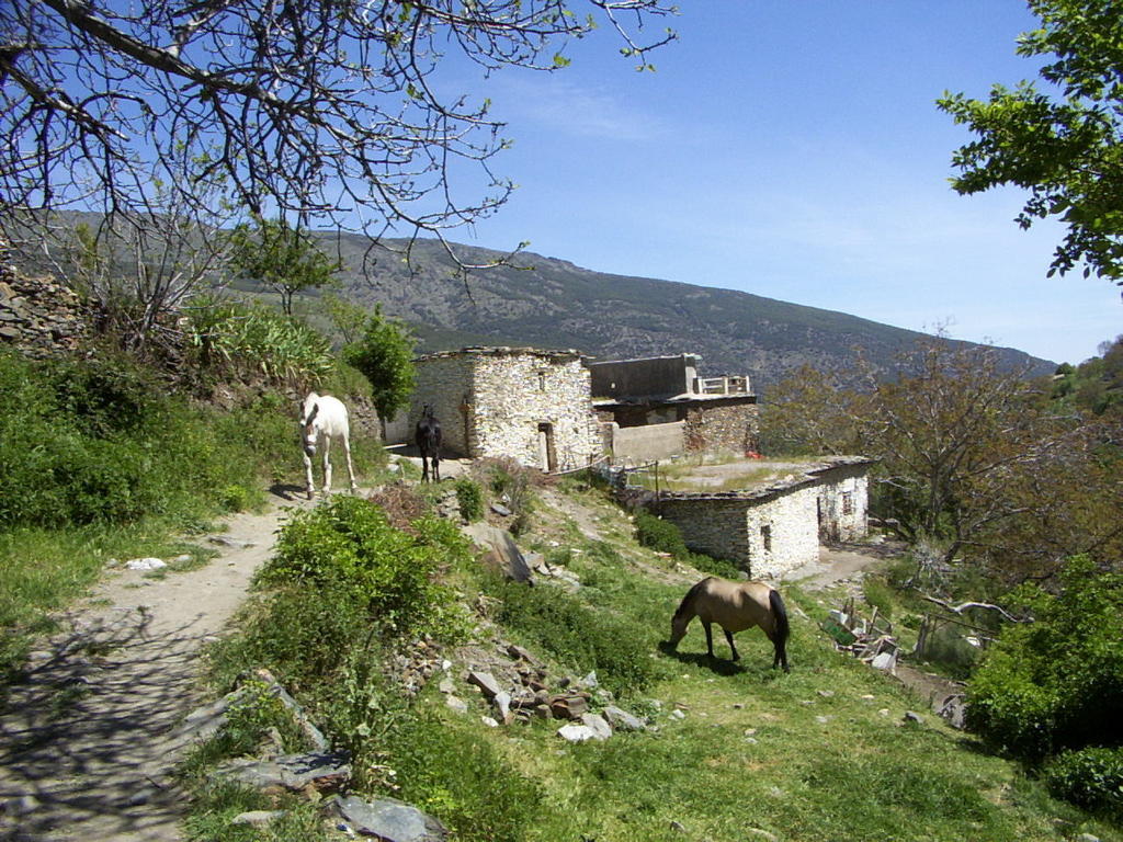 Frühstückspension Sierra Y Mar Ferreirola