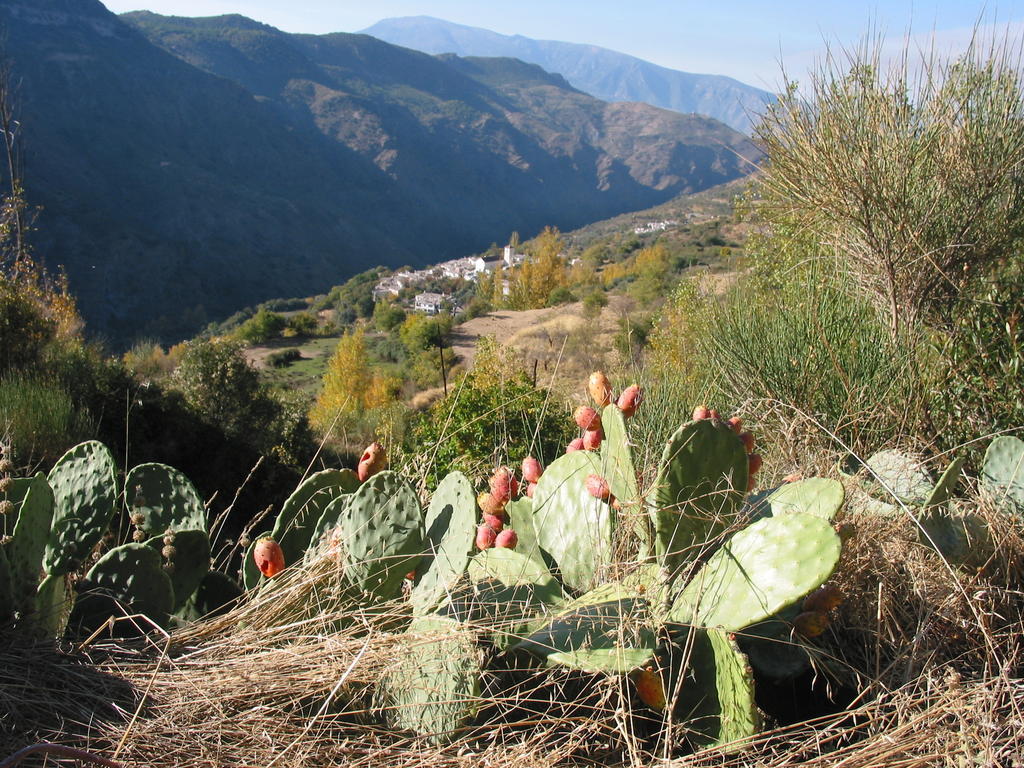 Sierra Y Mar