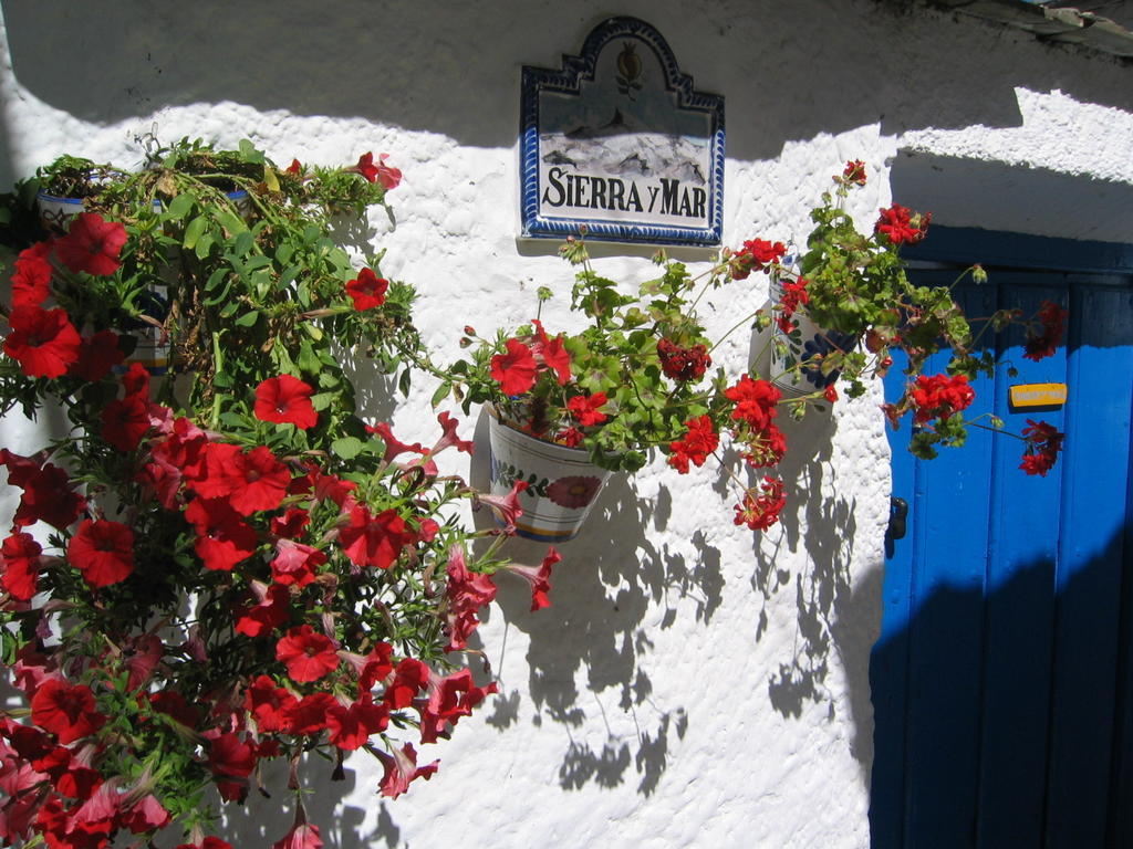 Sierra Y Mar